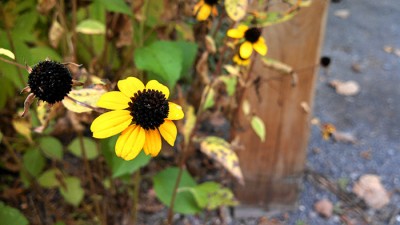 2013-10-01 11.26.12