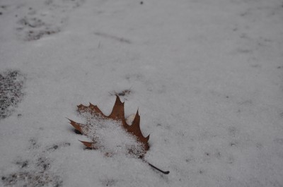 DSC_0072