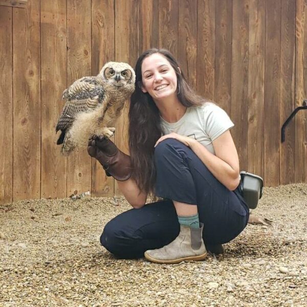Paige with Sunny, the Great Horned Owl, perched on her gloved hand.