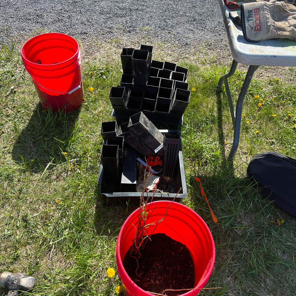 Tree planting supplies.