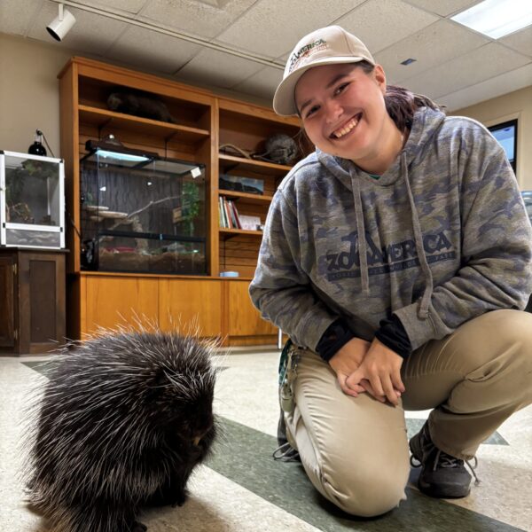 Jessie and a porcupine.