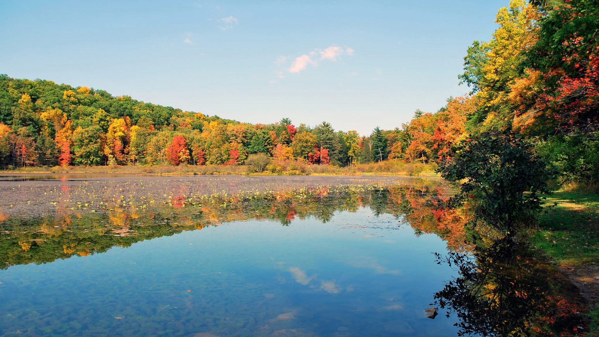 Sun shines on bright fall foliage along the shores of Lake Perez.