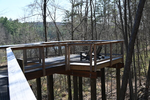 A wooden platform with two chairs overlooking a forested area
