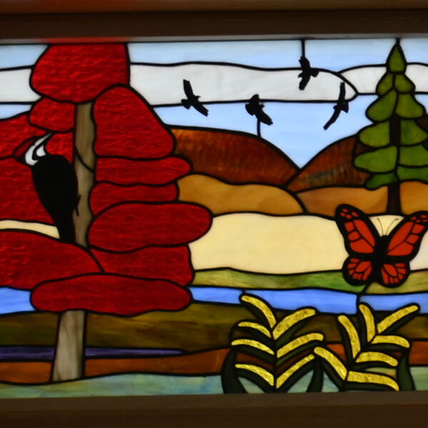 Stained glass window of butterfly
