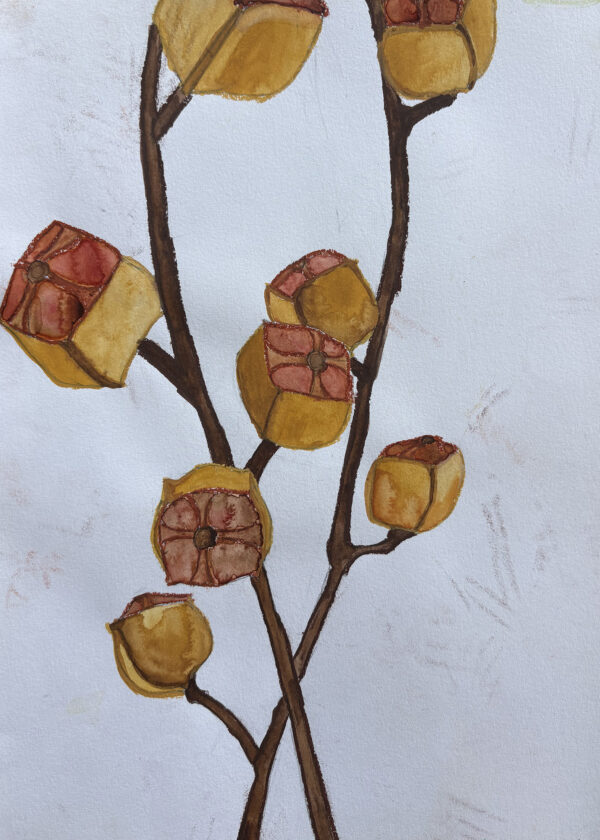 A pastel sketch of seedbox plant seeds.