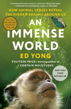 The cover of the book An Immense World by Ed Yong.