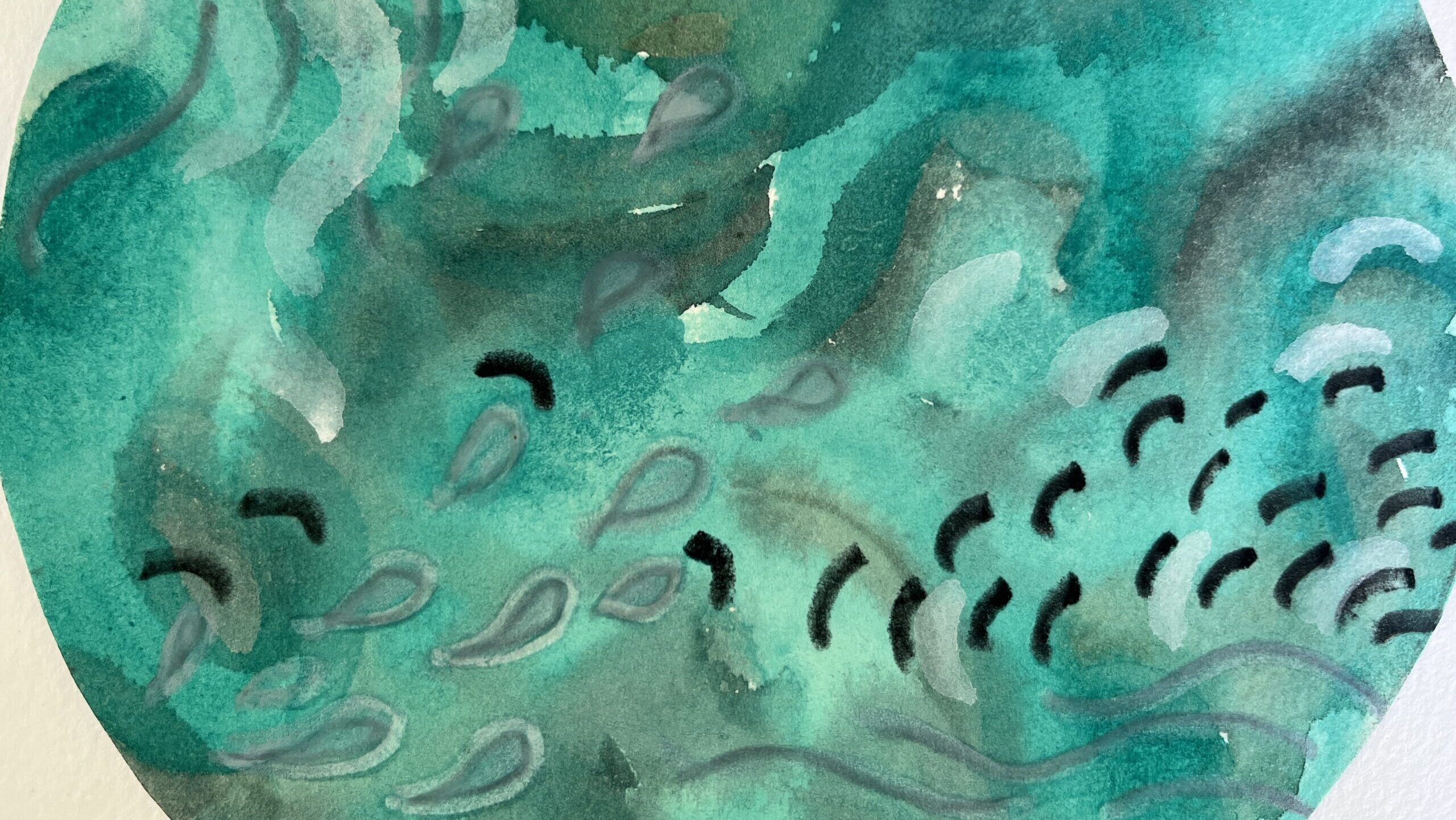 Community Nature Journaling