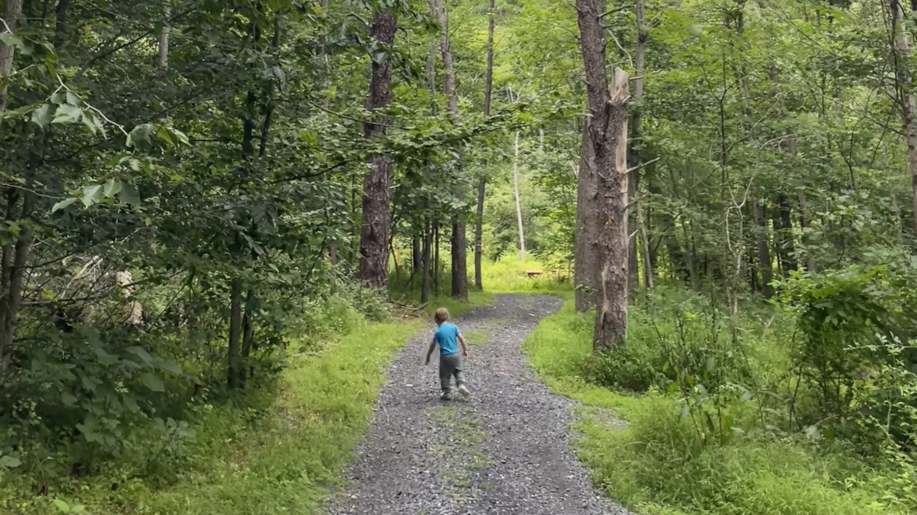 Parent and Child Nature Walk