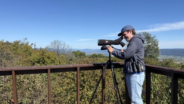 brady at stone mountain hawkwatch