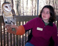 Barnowl