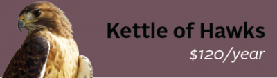 Join the Kettle image