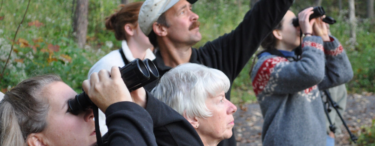 Morning Migration Bird Walk