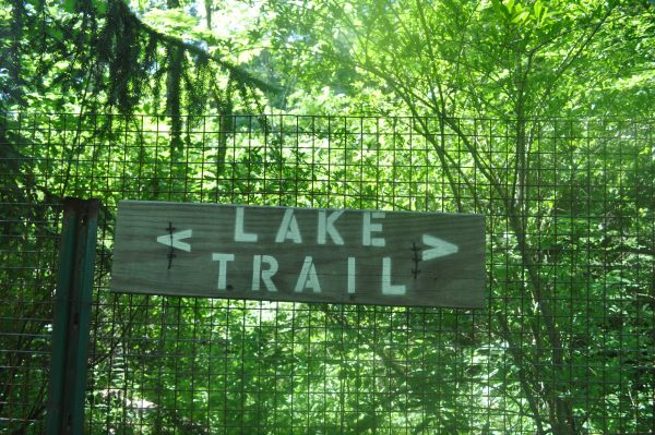 Lake Trail