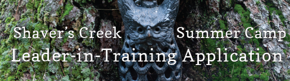 Leader-in-Training Application