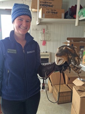 Kristen Barn Owl