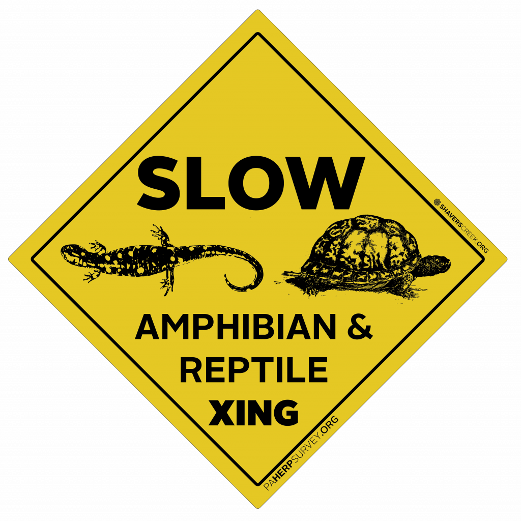 Amphibians on the Move - Shaver’s Creek Environmental Center