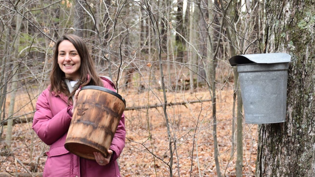 A girl in a winter jacket holding a maple syrup collection bucket and standing beside a sugar maple tree that has been tapped