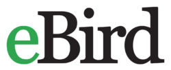 eBird Logo