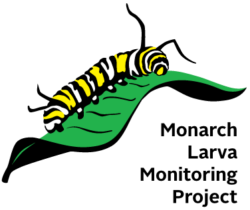 Monarch Larva Monitoring