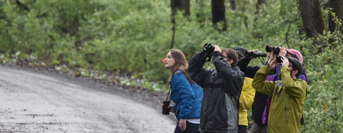 A group of birders looking through binoculars