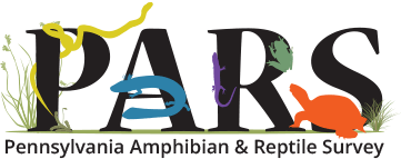 Pennsylvania Amphibian and Reptile Survey