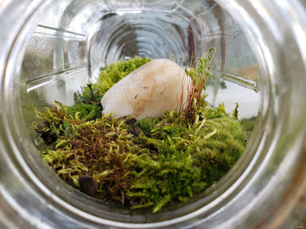Small rocks, a layer of dirt, a layer of moss, and a decorative stone in a Mason jar