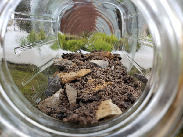 Small rocks and a layer of dirt in a Mason jar