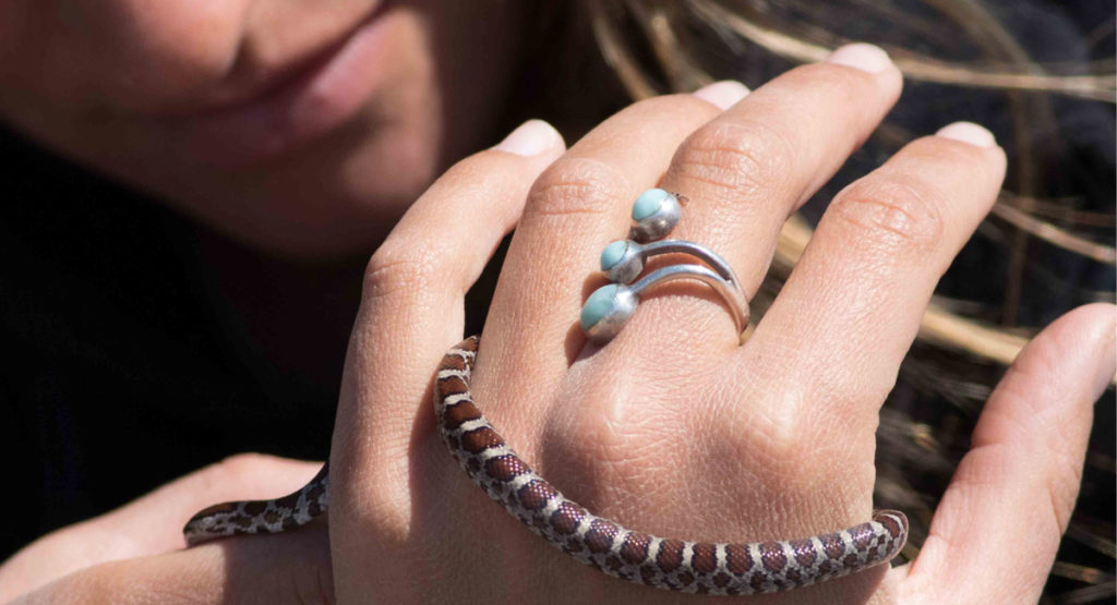 A snake wrapped around a hawk watcher's hand