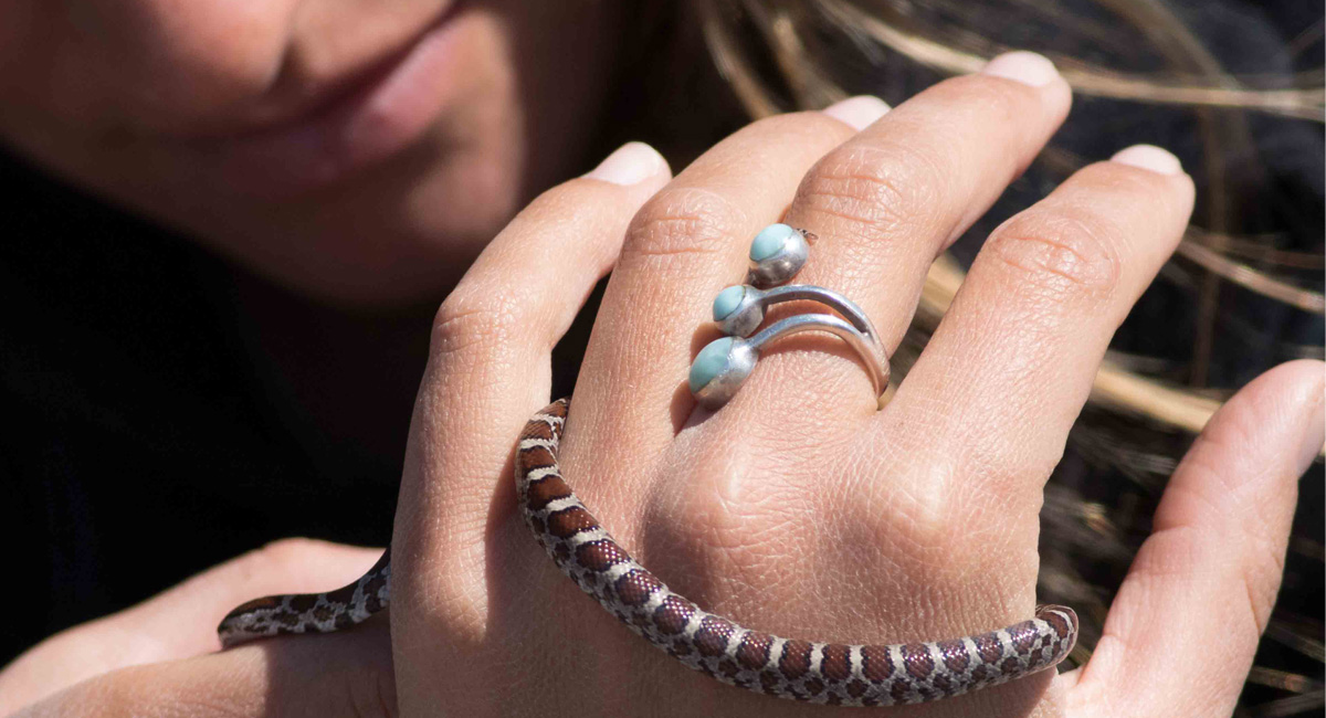 A snake wrapped around a hawk watcher's hand