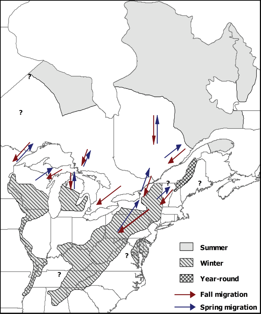 A map of hawk migration in the north-eastern United States