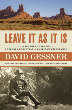 Image of the cover for David Gessner's book Leave It As It Is