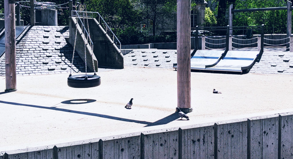 Birds in a New York City Park