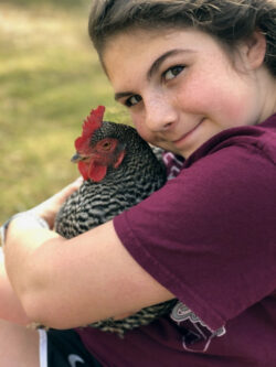 Indy with a chicken