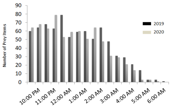 Graph of Number of Prey Items consumed by a pair of nesting barn owls