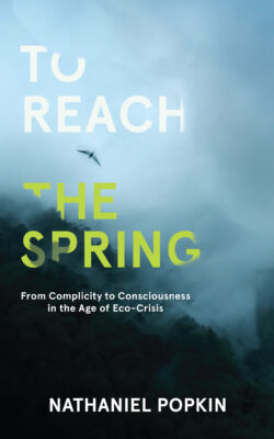 Cover of To Reach the Spring