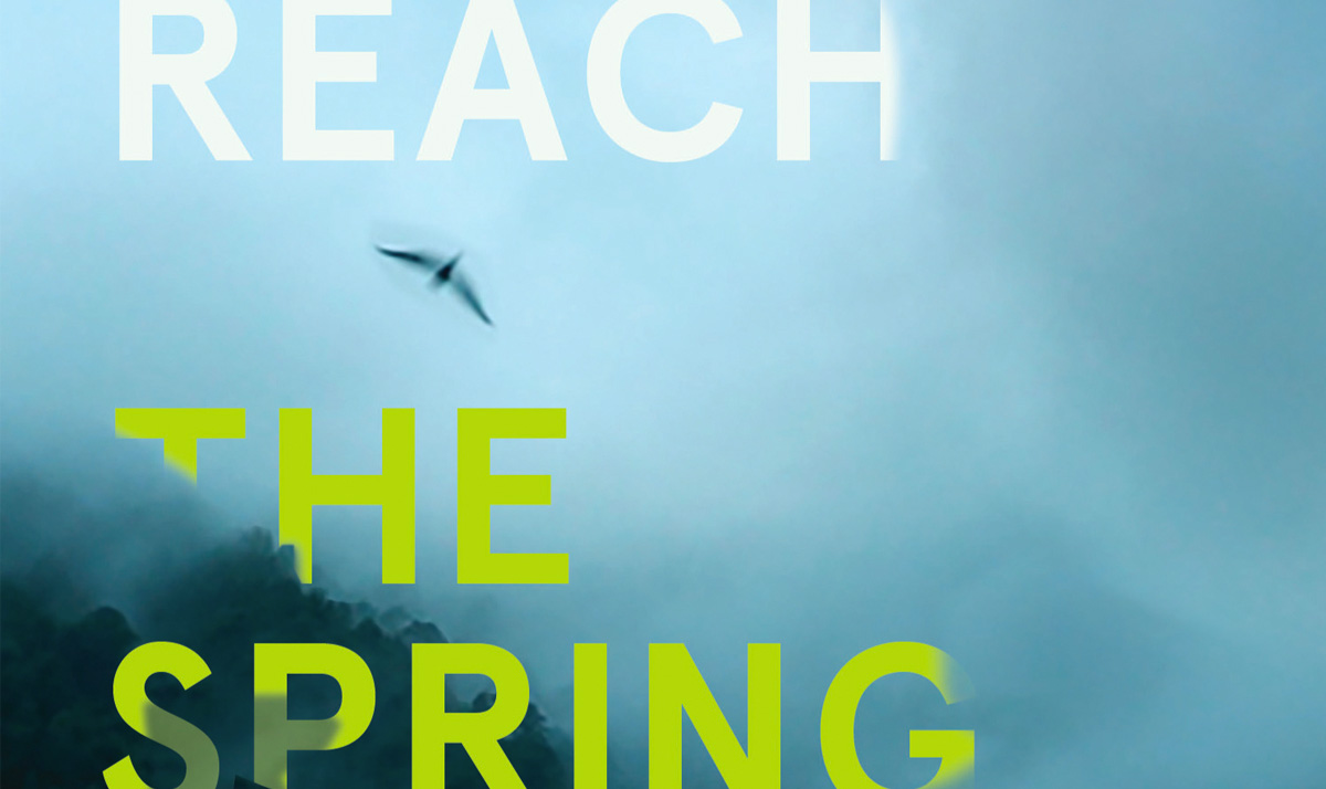 To Reach the Spring book cover