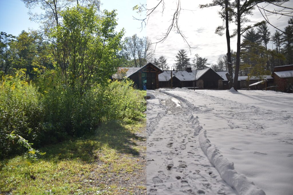 Image displaying seasonal progression at Shaver's Creek