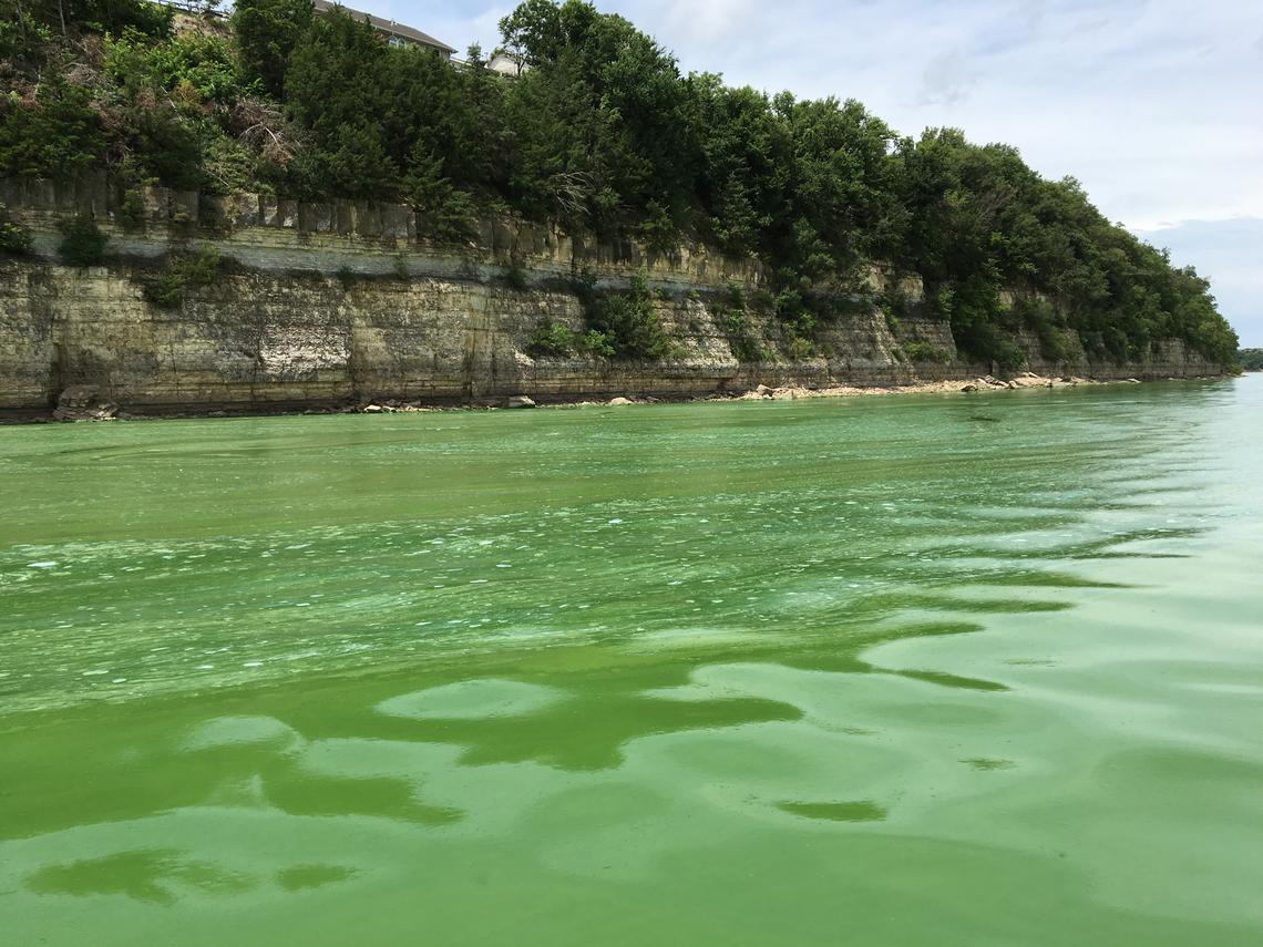 HABs negatively impact tourism by turning beautiful blue water green. Photo taken at Milford Lake, Kansas (USGS).