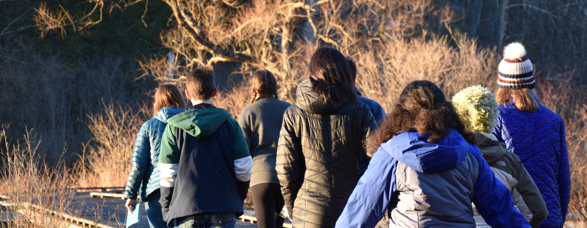 group of people walking down trail