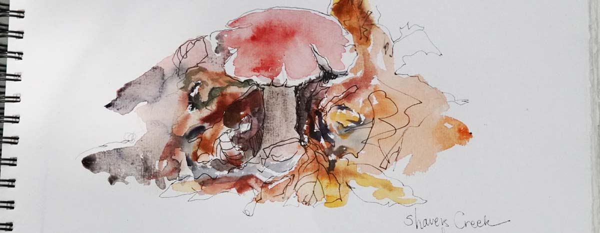 painting of mushroom