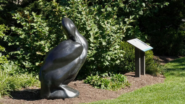 Sculpture of the Labrador Duck