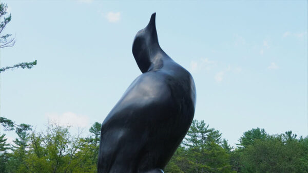 Sculpture of the Passenger Pigeon