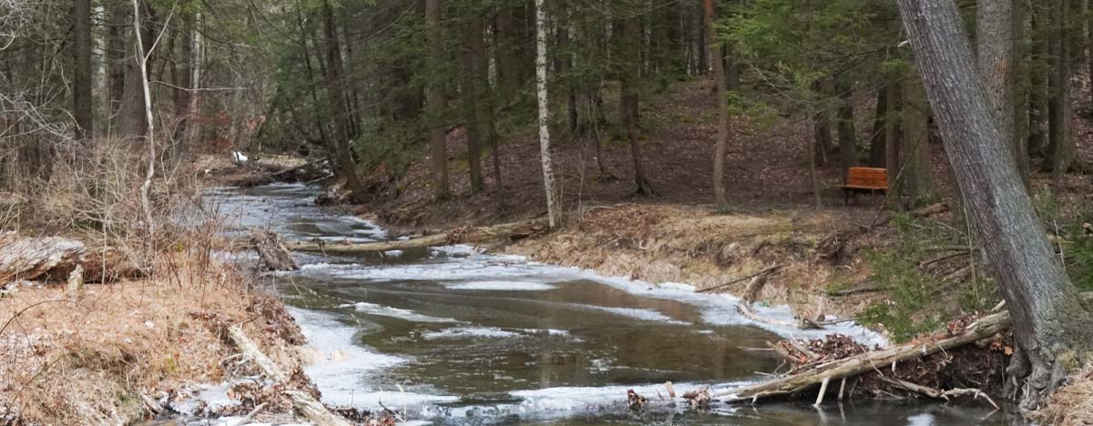 Icy creek