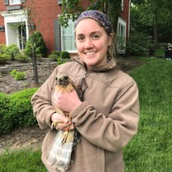 Woman holding a hawk