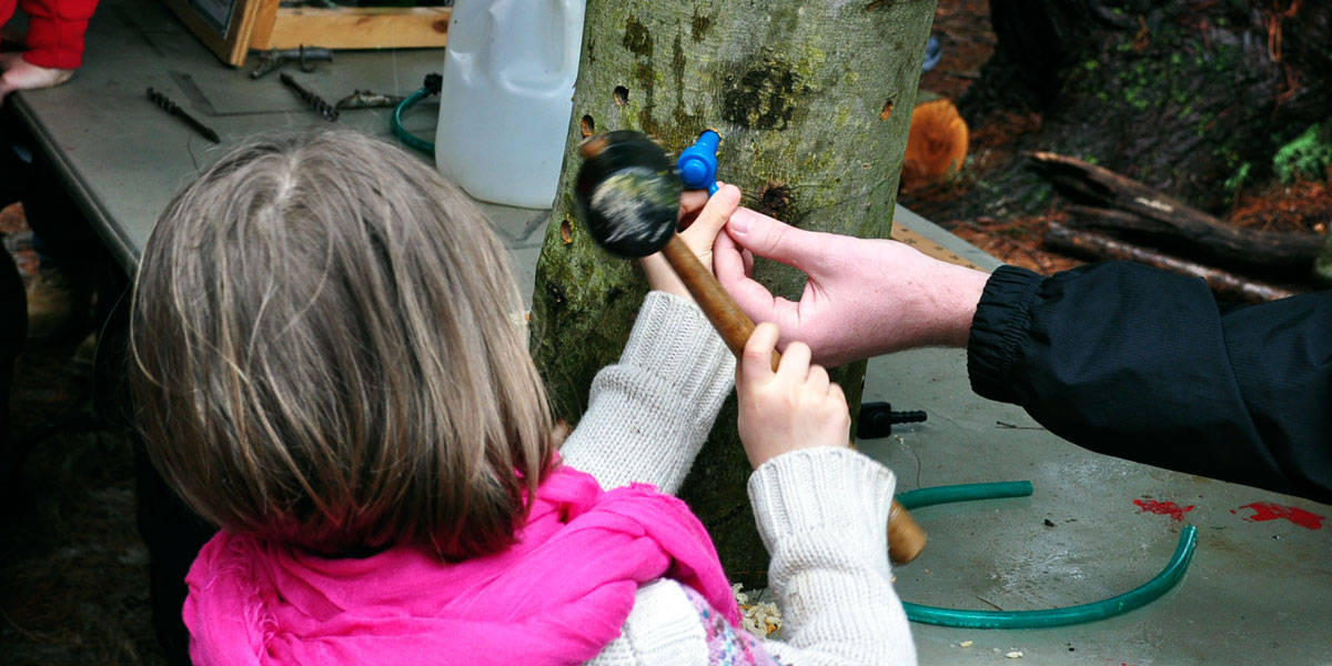A child being taught the maple sugaring process.
