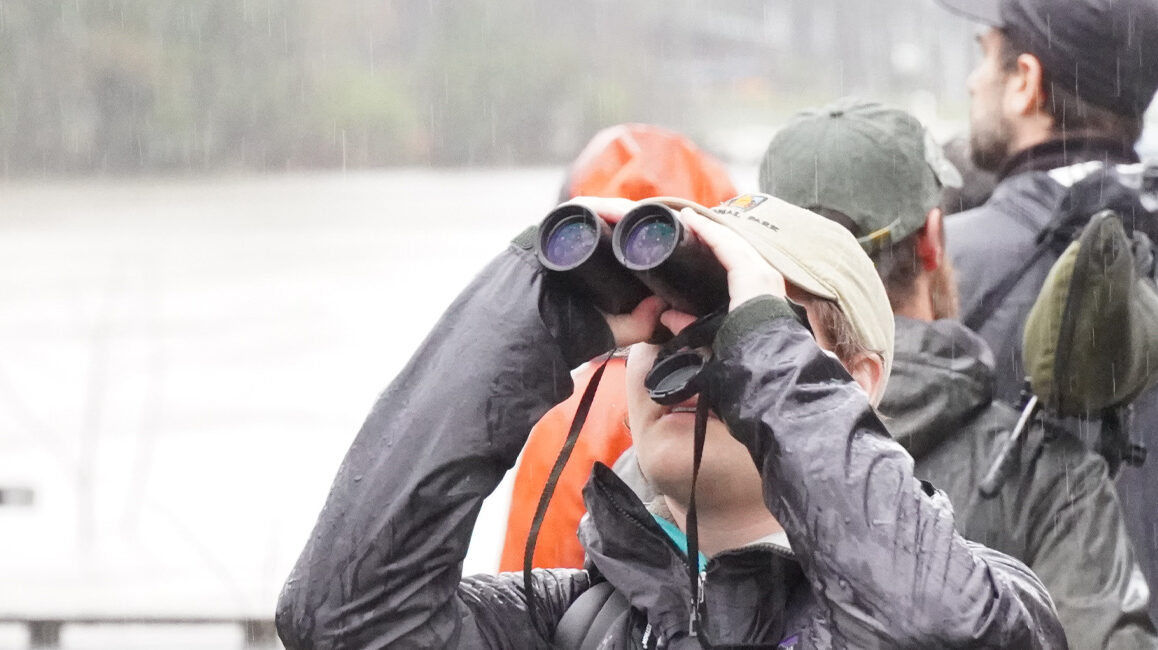 Birder holding binoculars