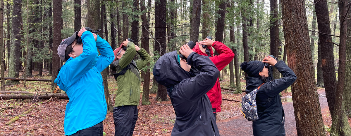 Five people looking up with binoculars