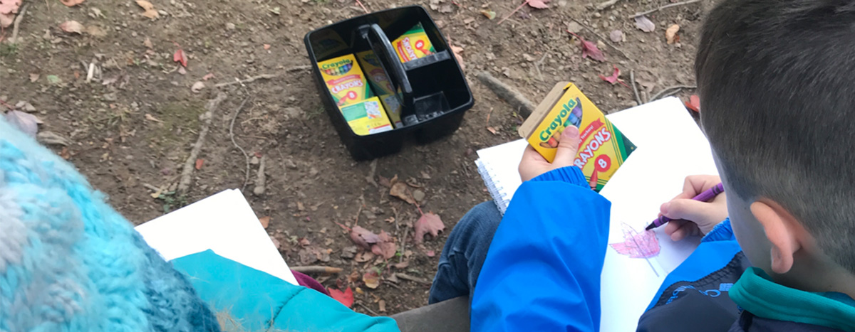 Child drawing a leaf