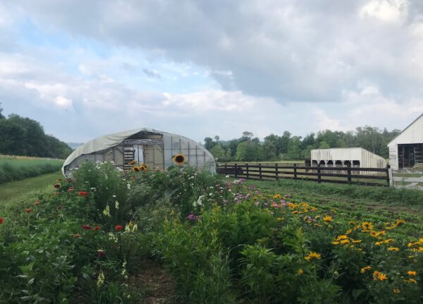 A greenhouse in a field with flowers blooming in front of it