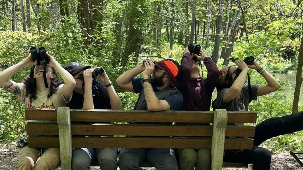 A group of birders on a bench looking through binoculars